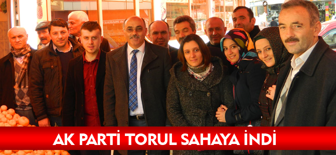 AK PARTİ TORUL SAHAYA İNDİ