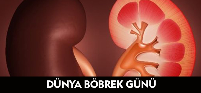 DÜNYA BÖBREK GÜNÜ