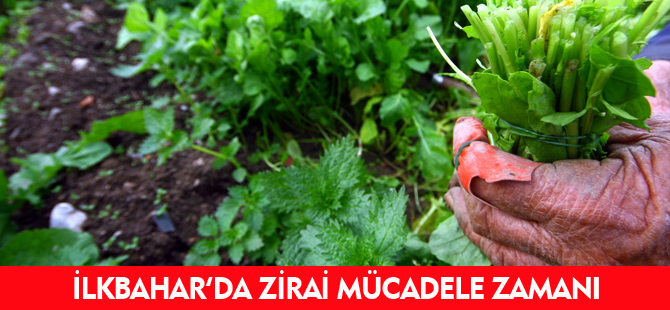 İLKBAHARDA ZİRAİ MÜCADELE ZAMANI