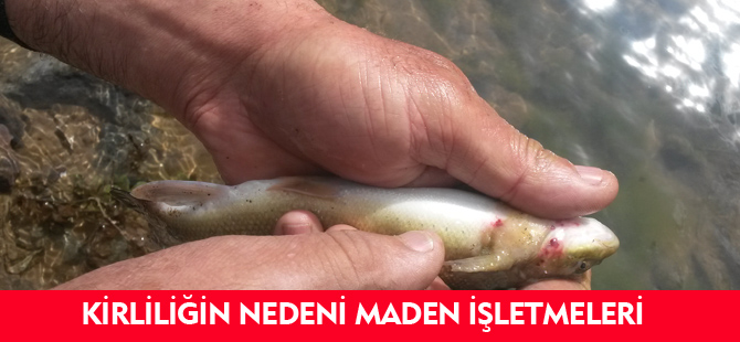 KİRLİLİĞİN NEDENİ MADEN İŞLETMELERİ