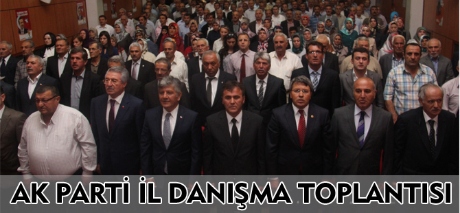 AK PARTİ İL DANIŞMA TOPLANTISI