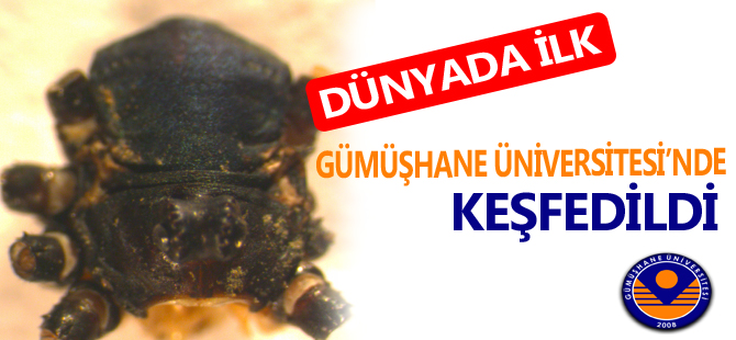 Gümüşhane Üniversitesinde yeni bir tür keşfi…