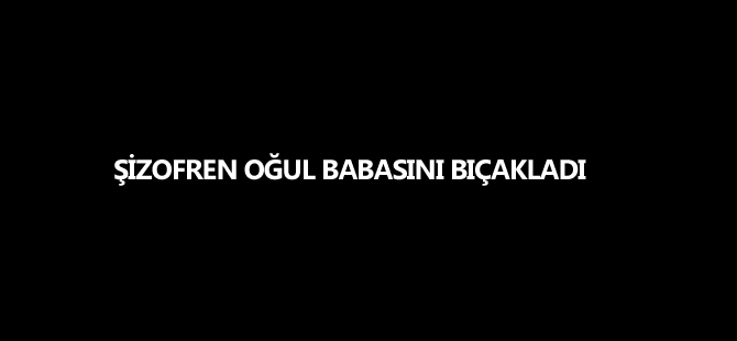 ŞİZOFREN OĞUL BABASINI BIÇAKLADI