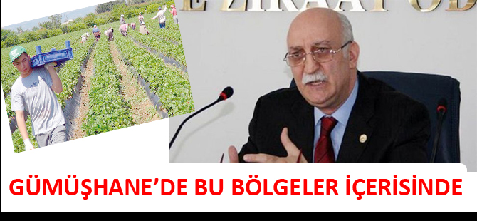 GÜMÜŞHANE’DE BU BÖLGELER İÇERİSİNDE