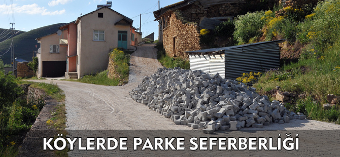 KÖYLERDE PARKE SEFERBERLİĞİ