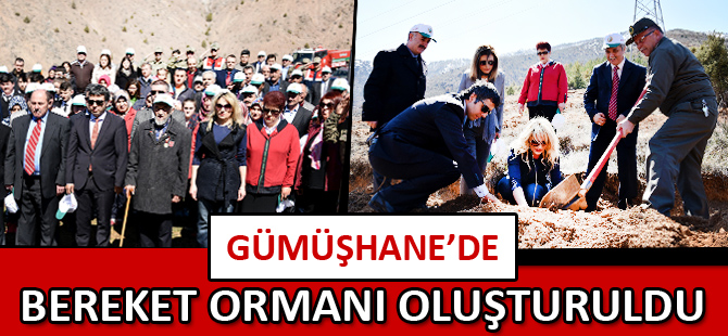 Gümüşhane'de "Bereket Ormanı" Oluşturuldu