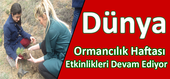 Dünya Ormancılık Haftası Etkinlikleri Devam Ediyor