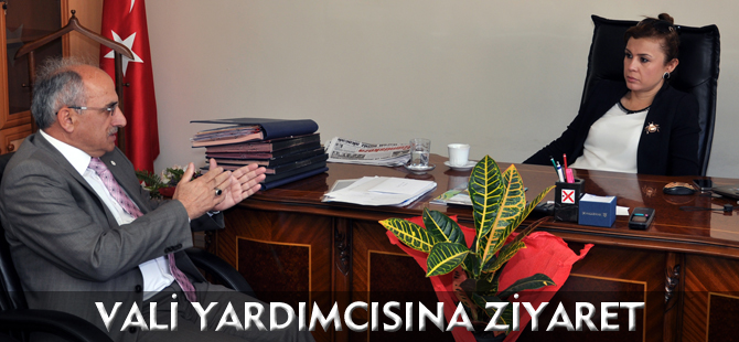 VALİ YARDIMCISINA ZİYARET