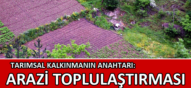 TARIMSAL KALKINMANIN ANAHTARI: ARAZİ TOPLULAŞTIRMASI