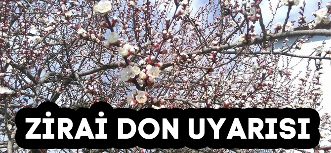 Zİrai Don Uyarısı