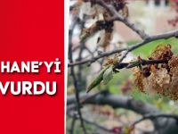 GÜMÜŞHANE’Yİ DON VURDU