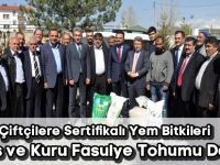 Kelkit’te Çiftçilere Sertifikalı Yem Bitkileri, Patates ve Kuru Fasulye Tohumu Dağıtıldı