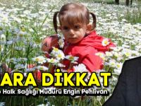 Bahara Dikkat