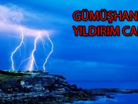 GÜMÜŞHANE'DE YILDIRIM CAN ALDI