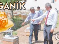 ORGANİK BAL ÜRETİMİNDE MARKA OLACAĞIZ