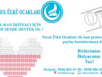 TORUL ÜLKÜ OCAKLARI KAN BANKASI VERİTABANI OLUŞTURUYOR