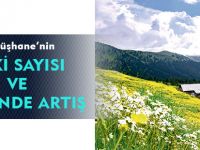 GÜMÜŞHANE'NİN BİTKİ SAYISI VE ÇEŞİDİNDE ARTIŞ