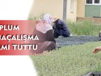 TOPLUM YARARINA ÇALIŞMA PROGRAMI TUTTU