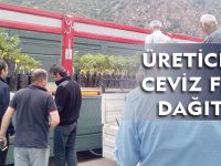 ÜRETİCİLERE CEVİZ FİDANI DAĞITILDI