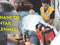 GÜMÜŞHANE’DE MANTAR ZEHİRLENMESİ