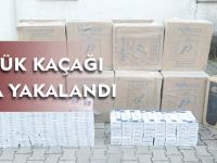 GÜMRÜK KAÇAĞI SİGARA YAKALANDI