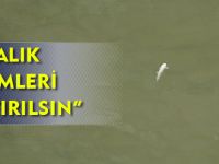 “BALIK ÖLÜMLERİ ARAŞTIRILSIN”