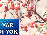 ADI VAR KENDİ YOK