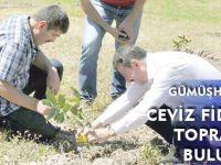 GÜMÜŞHANE’DE CEVİZ FİDANLARI TOPRAKLA BULUŞTU