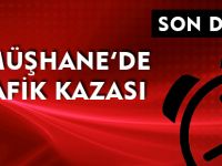 GÜMÜŞHANE'DE TRAFİK KAZASI