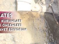 HARŞİT ÇAYI’NDAKİ KİRLİLİK