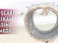 SU KUŞLARI AMERİKAN YUVASINI SEVMEDİ