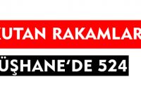 KORKUTAN RAKAMLAR; GÜMÜŞHANE'DE 524
