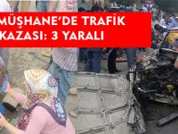 GÜMÜŞHANE'DE TRAFİK KAZASI: 3 YARALI