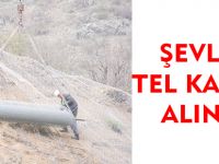 ŞEVLER TEL KAFESE ALINDI