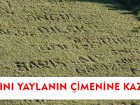 AŞKLARINI YAYLANIN ÇİMENİNE KAZIDILAR