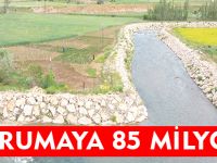 KORUMAYA 85 MİLYON