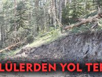 KÖYLÜLERDEN YOL TEPKİSİ