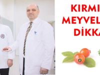 KIRMIZI MEYVELERE DİKKAT