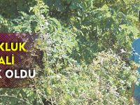 ÇOCUKLUK HAYALİ GERÇEK OLDU