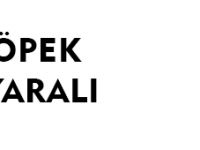 KELKİT’TE KÖPEK SALDIRISI: 4 YARALI