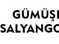GÜMÜŞHANE'DE SALYANGOZ İSTİLASI