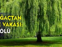 YİNE AĞAÇTAN DÜŞME VAKASI: 1 ÖLÜ
