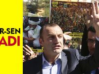 MEMUR-SEN KINADI