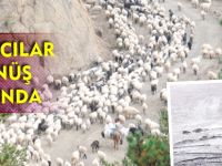 YAYLACILAR DÖNÜŞ YOLUNDA