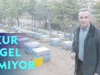 İŞKUR ENGEL TANIMIYOR