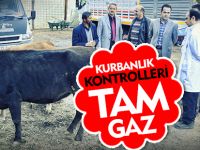 KURBAN KONTROLLERİ