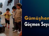Gümüşhane’de Göçmen Sayısı Kaç?