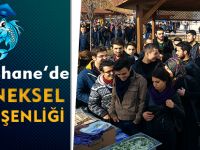 Geleneksel Hamsi Şenliği
