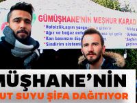 GÜMÜŞHANE'NİN KARADUT SUYU ŞİFA DAĞITIYOR
