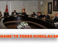 GÜMÜŞHANE'YE TEDES KURULACAK